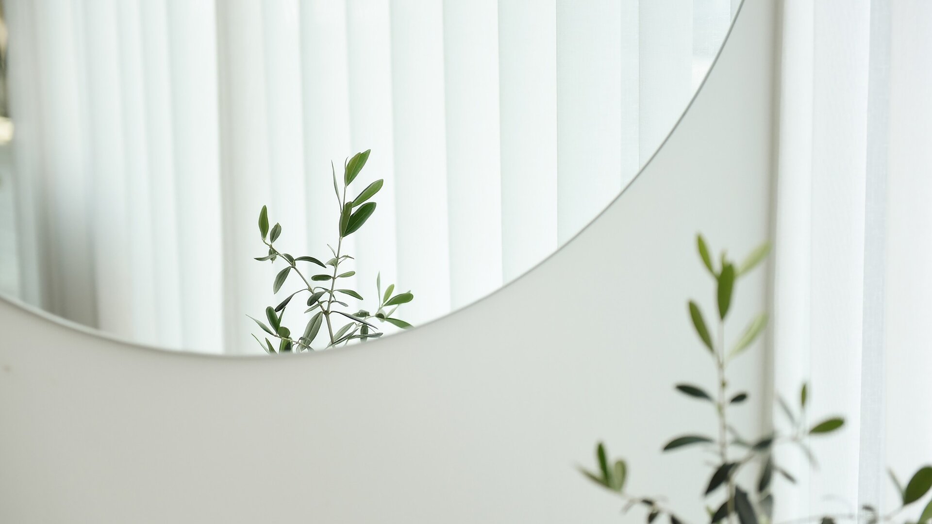 Nahaufnahme von unteren Teil eines runden Spiegels auf weißer Wand, mit der Spiegelung von Pflanzenblättern.